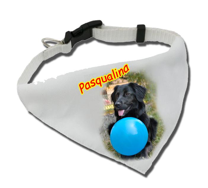 bandana per cane